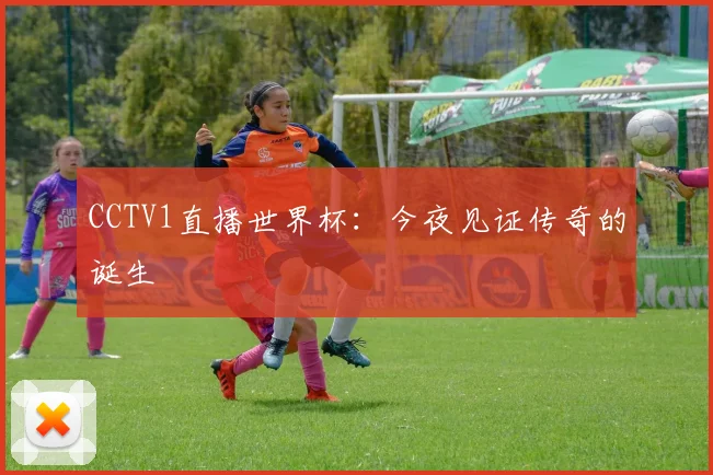 CCTV1直播世界杯:今夜见证传奇的诞生