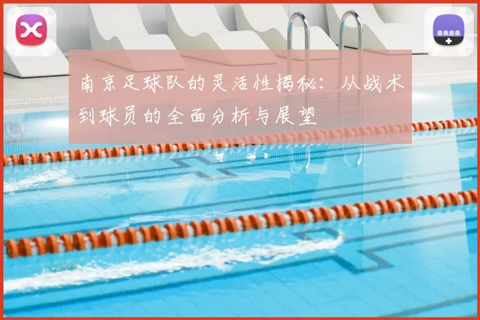 南京足球队的灵活性揭秘：从战术到球员的全面分析与展望