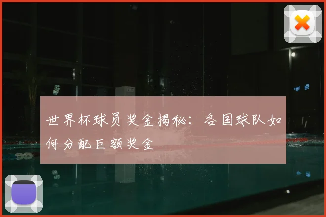 世界杯球员奖金揭秘:各国球队如何分配巨额奖金
