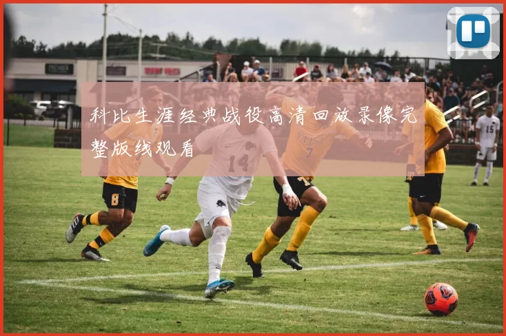 科比生涯经典战役高清回放录像完整版线观看