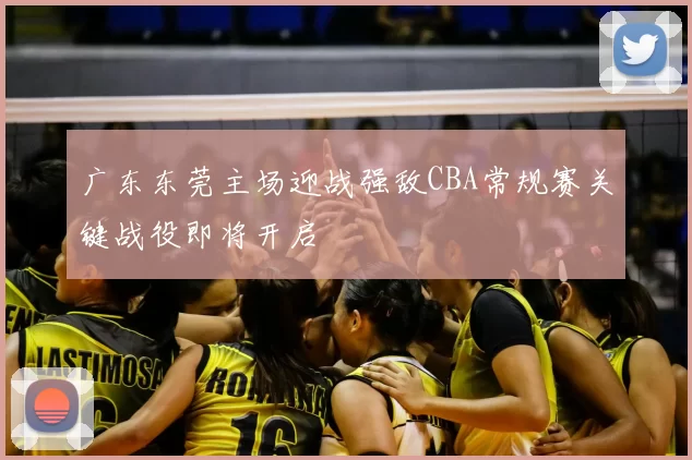 广东东莞主场迎战强敌CBA常规赛关键战役即将开启