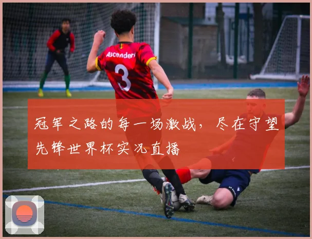冠军之路的每一场激战,尽在守望先锋世界杯实况直播