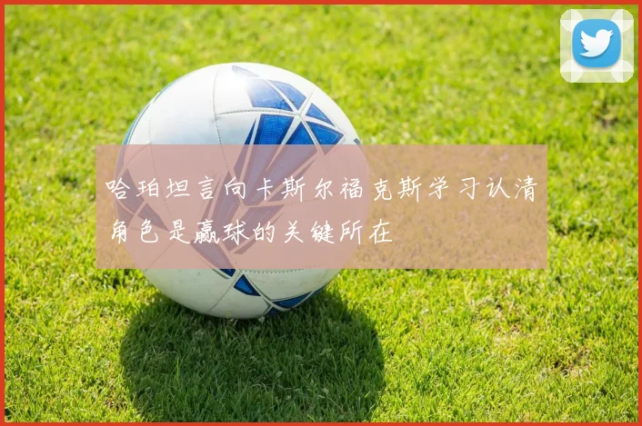 哈珀坦言向卡斯尔福克斯学习认清角色是赢球的关键所在