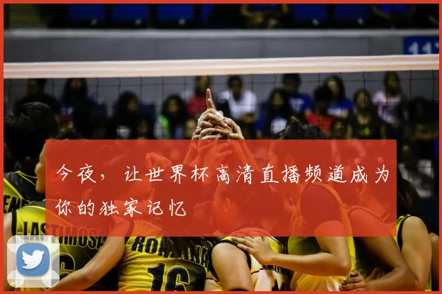 今夜,让世界杯高清直播频道成为你的独家记忆